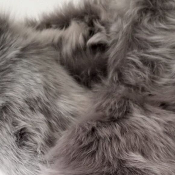 Ralph Lauren Collection * Fall 2014 Gray Italian Lamb Shearling Pull-Thru Collar - Picture 12 of 16